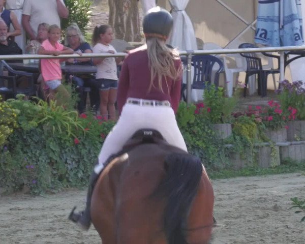 Reitturnier Oberderdingen 2022