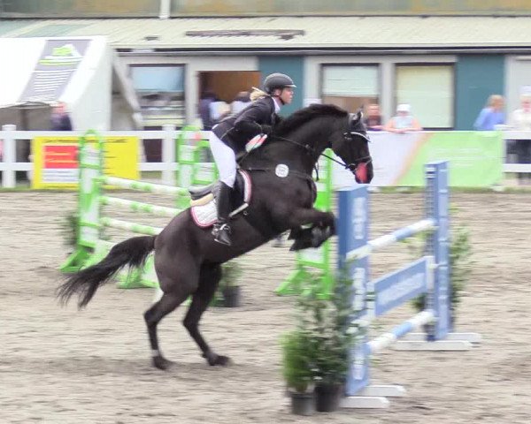 Springturnier Mildstedt 2021