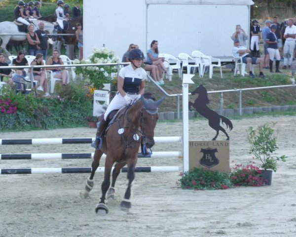 Reitturnier Oberderdingen 2022