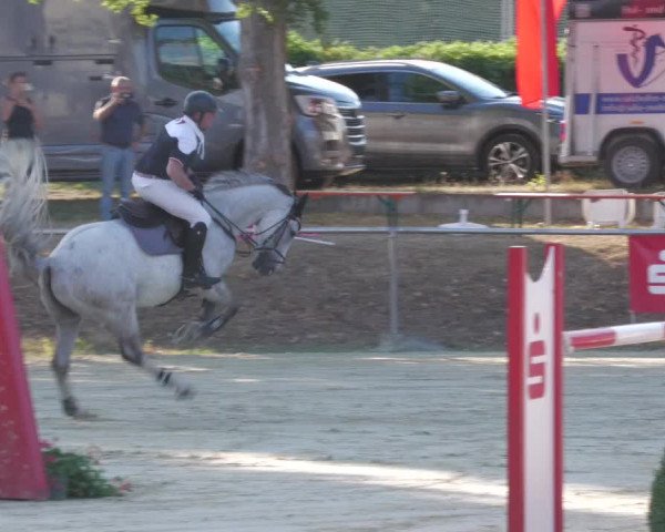 Reitturnier Oberderdingen 2022