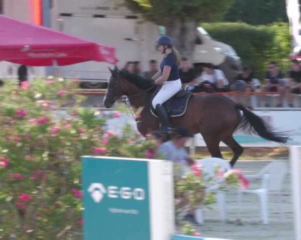 Reitturnier Oberderdingen 2022