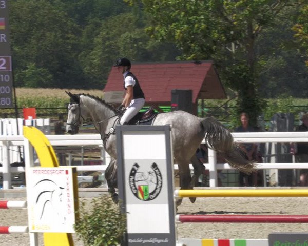 Reitturnier Gundelfingen 2022