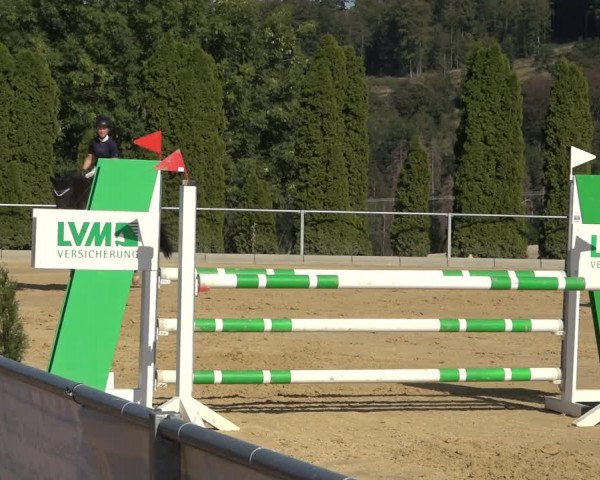 Reitturnier Kreiensen- Rittierode 2022