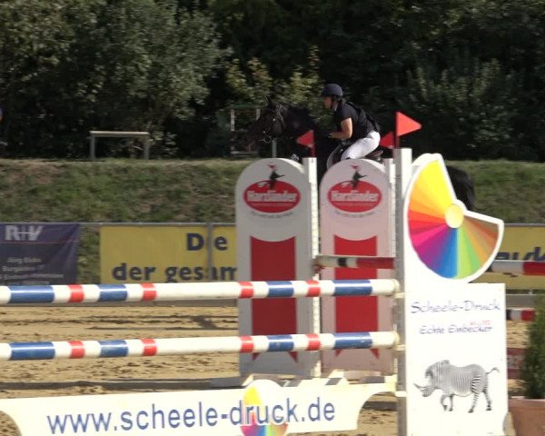 Reitturnier Kreiensen- Rittierode 2022