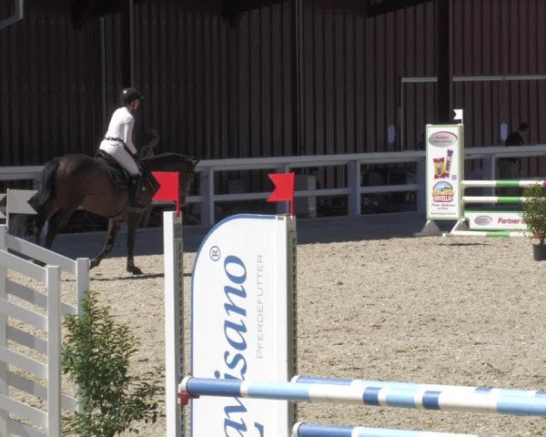 Reitturnier Gundelfingen 2022
