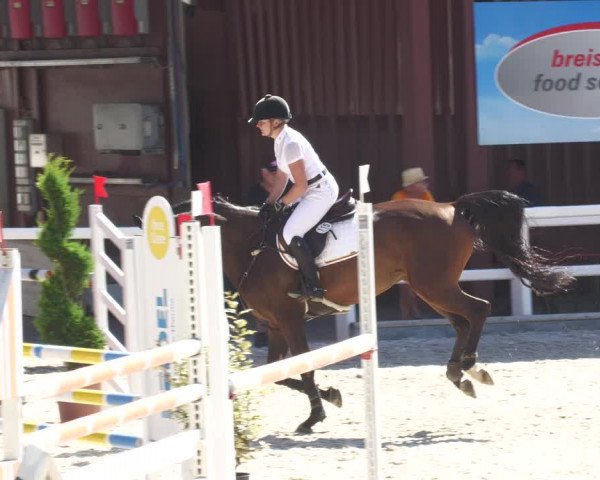 Reitturnier Gundelfingen 2022