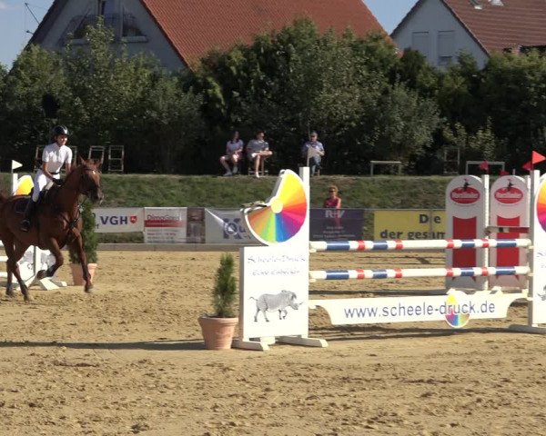 Reitturnier Kreiensen- Rittierode 2022