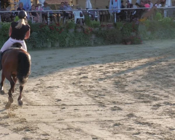 Reitturnier Oberderdingen 2022