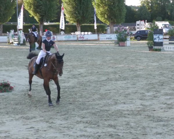 Reitturnier Oberderdingen 2022