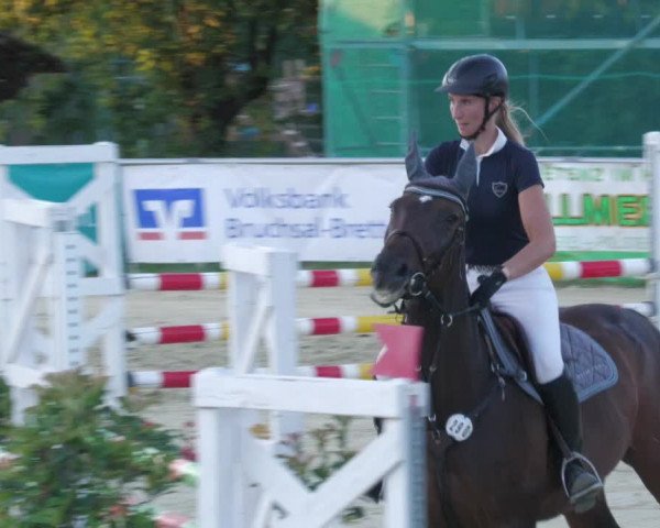 Reitturnier Oberderdingen 2022