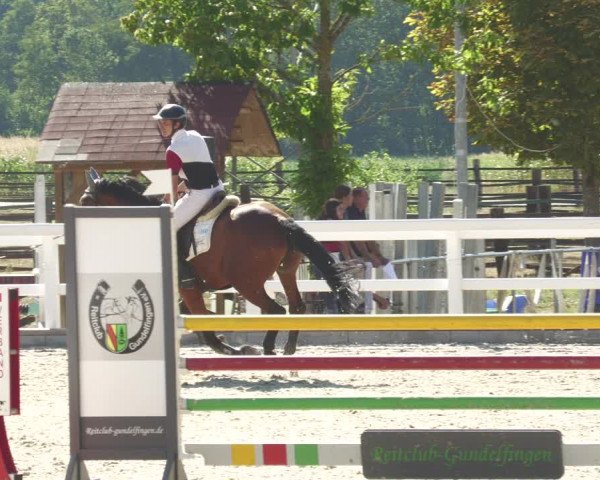 Reitturnier Gundelfingen 2022