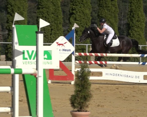 Reitturnier Kreiensen- Rittierode 2022