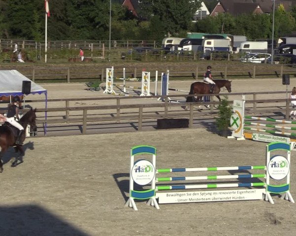 Reitturnier Münster-Amelsbüren 2022