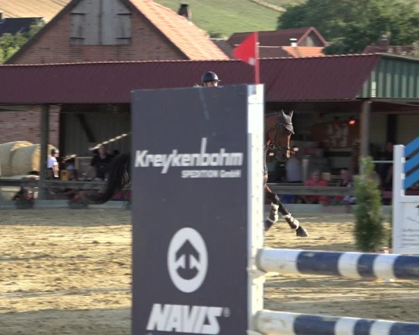 Reitturnier Kreiensen- Rittierode 2022