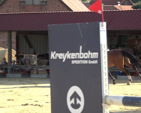 Reitturnier Kreiensen- Rittierode 2022