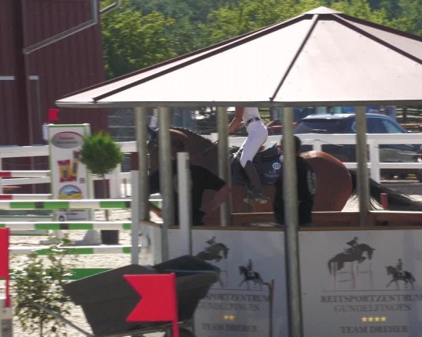 Reitturnier Gundelfingen 2022