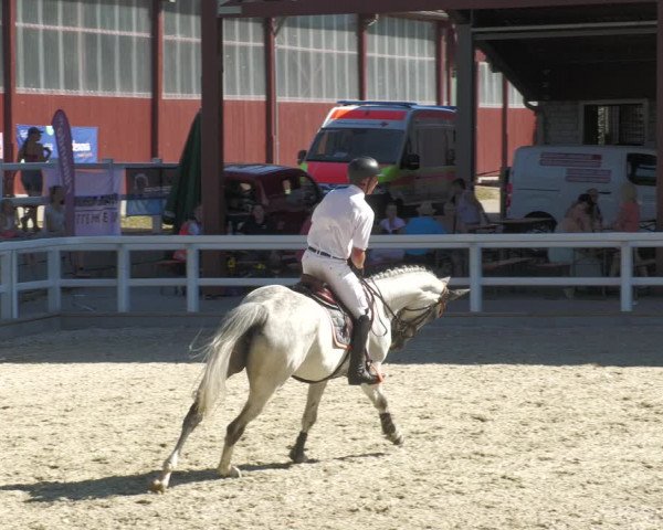 Reitturnier Gundelfingen 2022