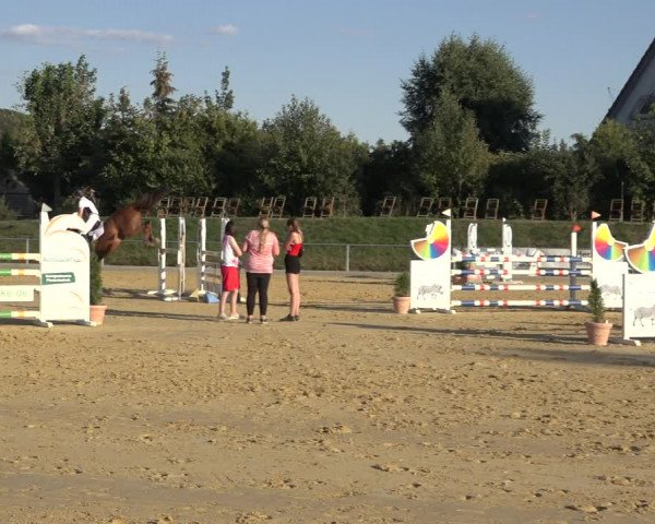 Reitturnier Kreiensen- Rittierode 2022