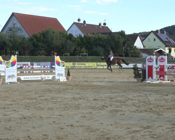 Reitturnier Kreiensen- Rittierode 2022