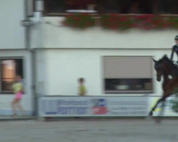 Reitturnier Grafenrheinfeld/Ufr. 2022