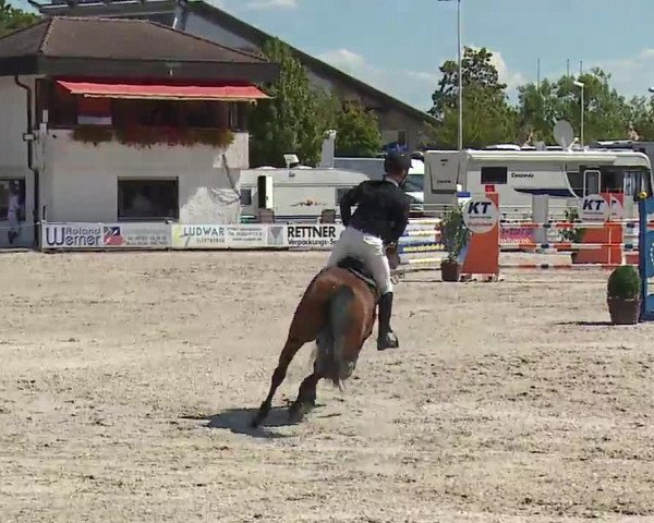 Reitturnier Grafenrheinfeld/Ufr. 2022