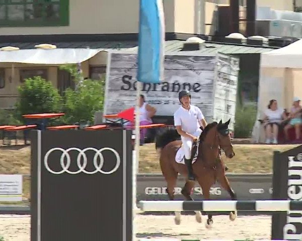 Reitturnier Grafenrheinfeld/Ufr. 2022