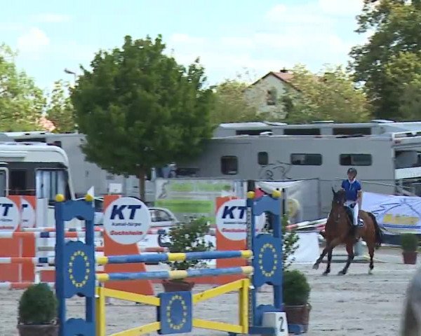 Reitturnier Grafenrheinfeld/Ufr. 2022