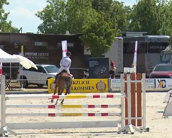 Reitturnier Grafenrheinfeld/Ufr. 2022