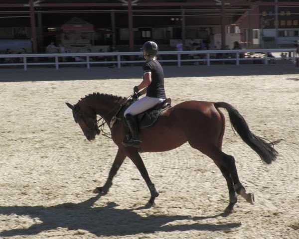 Reitturnier Gundelfingen 2022