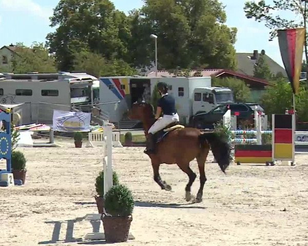 Reitturnier Grafenrheinfeld/Ufr. 2022