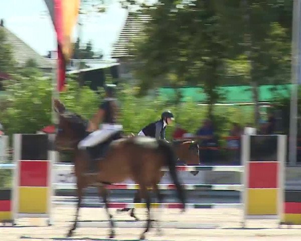 Reitturnier Grafenrheinfeld/Ufr. 2022