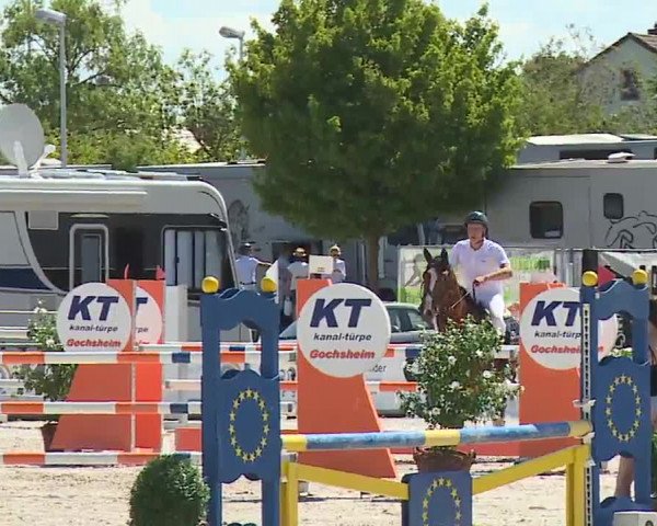 Reitturnier Grafenrheinfeld/Ufr. 2022