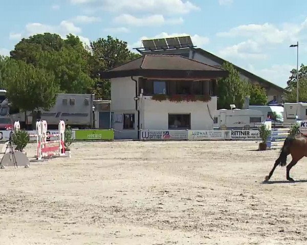 Reitturnier Grafenrheinfeld/Ufr. 2022