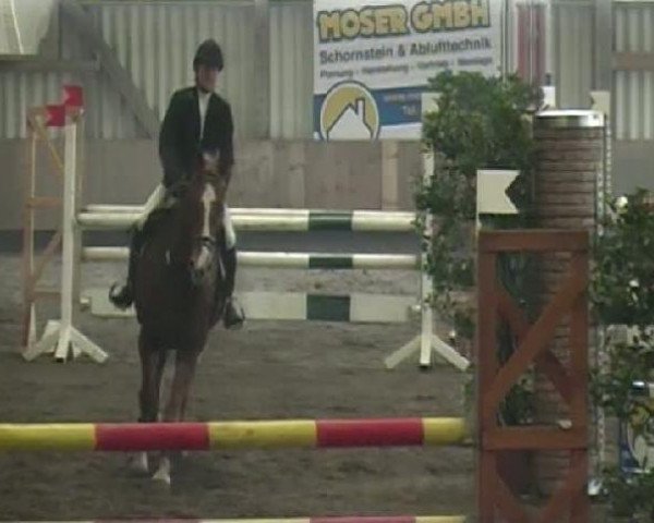jumper Deinhard (Württemberger, 1993, from Don Rico)