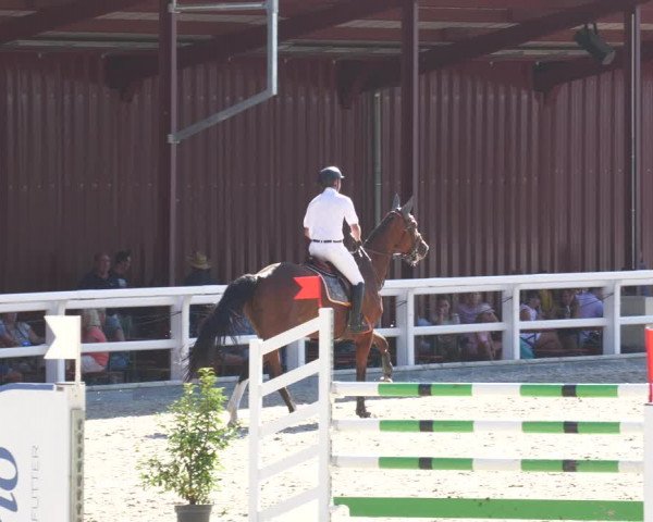Reitturnier Gundelfingen 2022