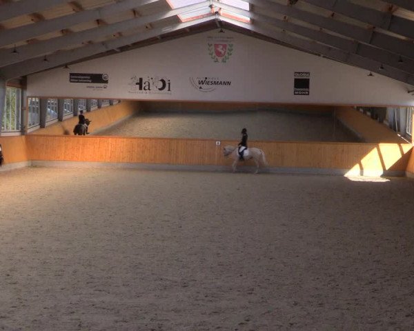 Reitturnier Münster-Amelsbüren 2022