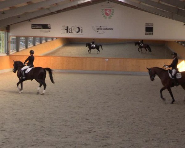 Reitturnier Münster-Amelsbüren 2022