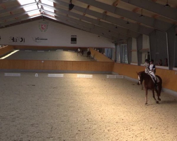 Reitturnier Münster-Amelsbüren 2022