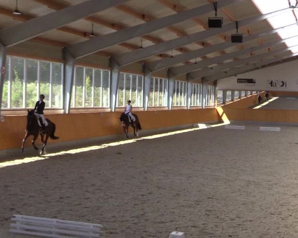 Reitturnier Münster-Amelsbüren 2022