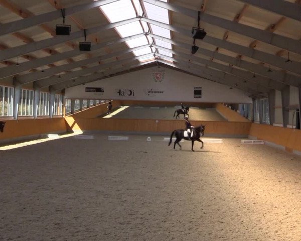 Reitturnier Münster-Amelsbüren 2022