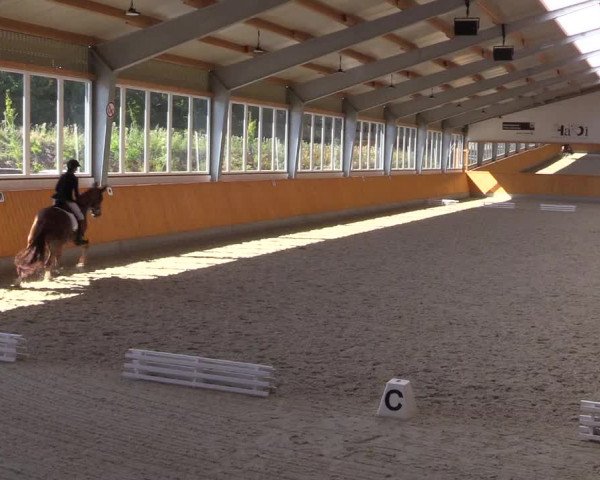 Reitturnier Münster-Amelsbüren 2022