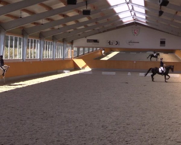 Reitturnier Münster-Amelsbüren 2022