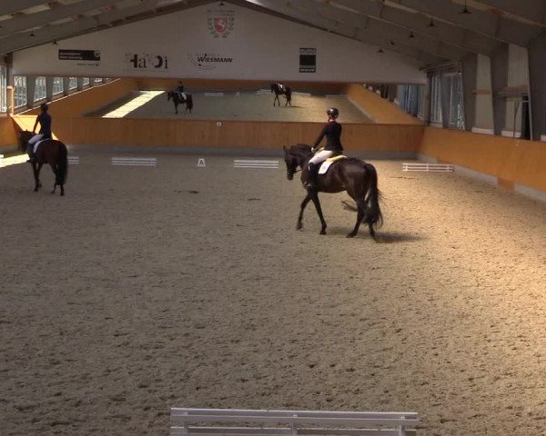Reitturnier Münster-Amelsbüren 2022