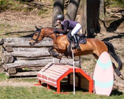 jumper Samira 471 (unknown, 2012, from Senna 14)