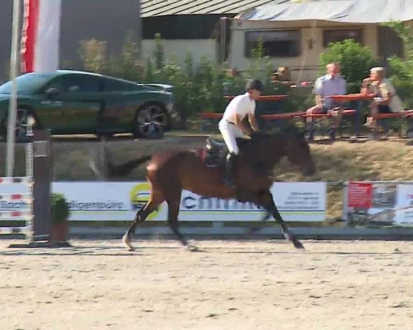 Reitturnier Grafenrheinfeld/Ufr. 2022