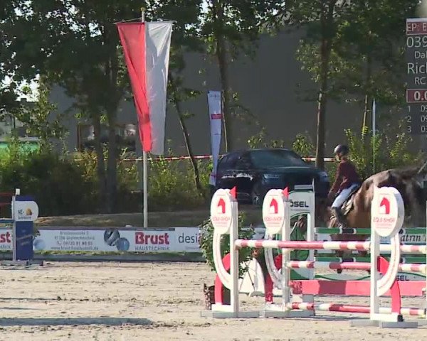 Reitturnier Grafenrheinfeld/Ufr. 2022
