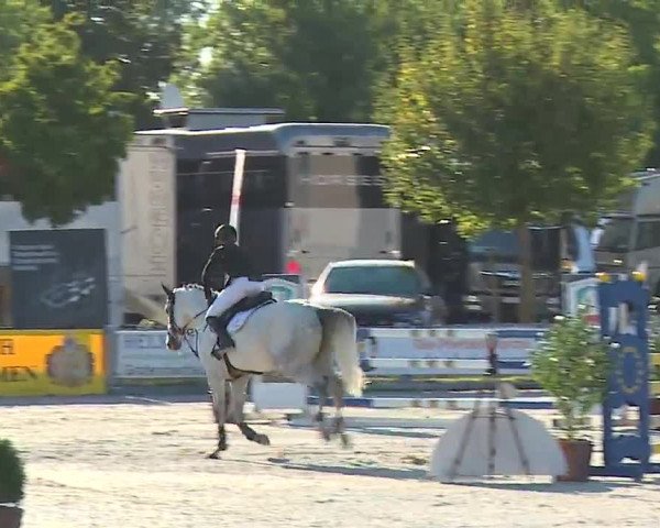 Reitturnier Grafenrheinfeld/Ufr. 2022