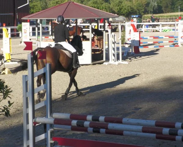 Reitturnier Gundelfingen 2022