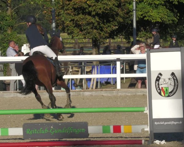 Reitturnier Gundelfingen 2022