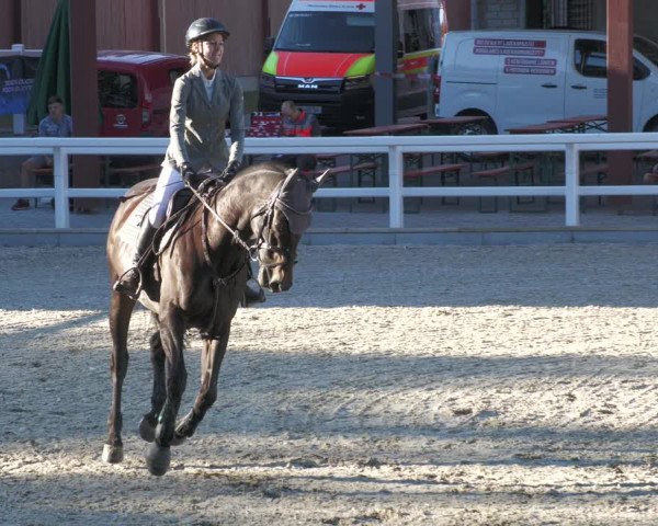 Reitturnier Gundelfingen 2022